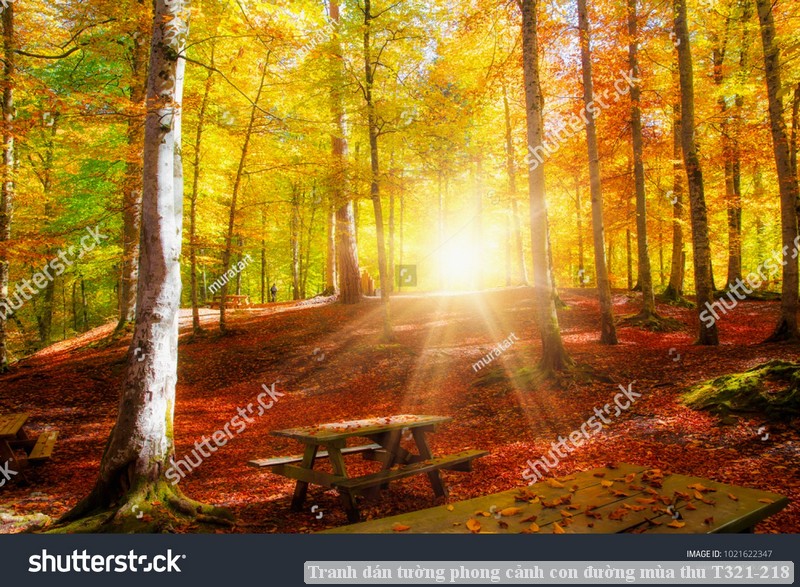 Tranh dán tường phong cảnh con đường mùa thu T321-218